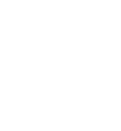 횡성더덕